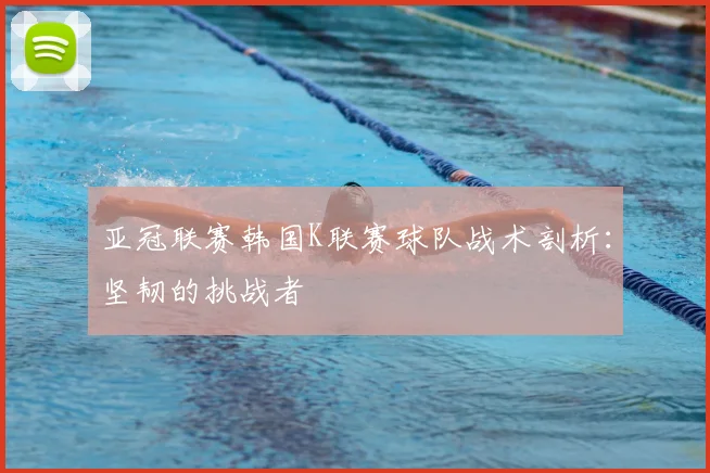 亚冠联赛韩国K联赛球队战术剖析:坚韧的挑战者