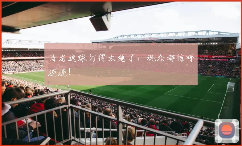 马龙这球打得太绝了,观众都惊呼连连!
