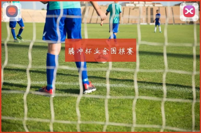 腾冲杯业余围棋赛
