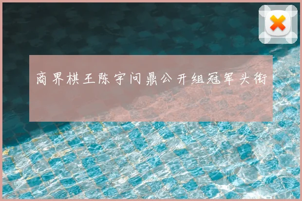 商界棋王陈宇问鼎公开组冠军头衔
