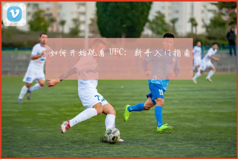 如何开始观看 UFC:新手入门指南