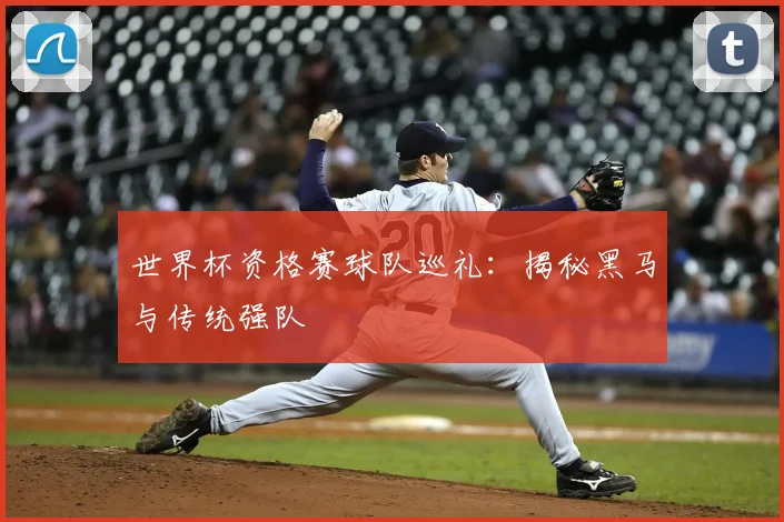 世界杯资格赛球队巡礼:揭秘黑马与传统强队