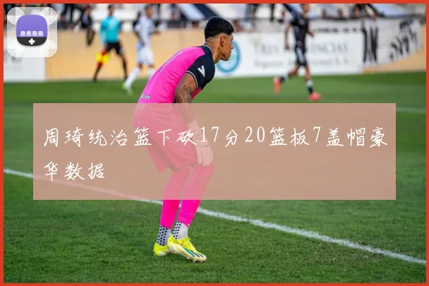 周琦统治篮下砍17分20篮板7盖帽豪华数据