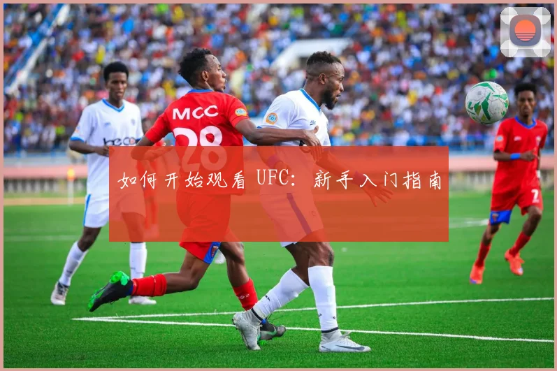如何开始观看 UFC:新手入门指南