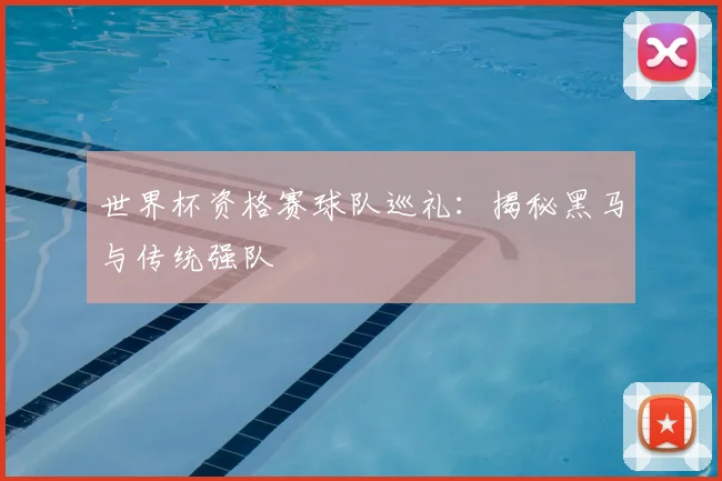 世界杯资格赛球队巡礼：揭秘黑马与传统强队