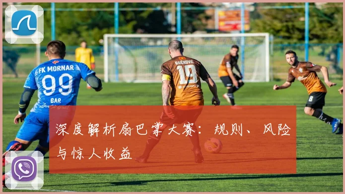 深度解析扇巴掌大赛：规则、风险与惊人收益
